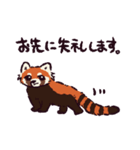 レッサーパンダです。（個別スタンプ：16）