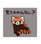 レッサーパンダです。（個別スタンプ：23）