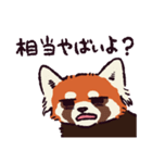 レッサーパンダです。（個別スタンプ：24）