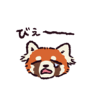 レッサーパンダです。（個別スタンプ：25）