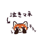 レッサーパンダです。（個別スタンプ：26）