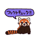 レッサーパンダです。（個別スタンプ：28）