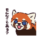 レッサーパンダです。（個別スタンプ：34）
