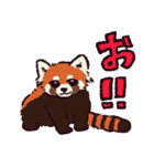 レッサーパンダです。（個別スタンプ：40）