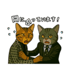 帰ってきた猫のスタンプ 6（個別スタンプ：17）