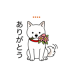 名前入り白しば（個別スタンプ：1）