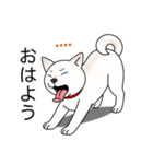 名前入り白しば（個別スタンプ：2）