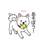 名前入り白しば（個別スタンプ：3）