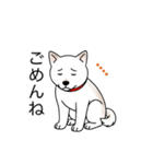 名前入り白しば（個別スタンプ：5）