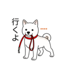 名前入り白しば（個別スタンプ：6）