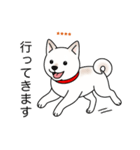 名前入り白しば（個別スタンプ：8）