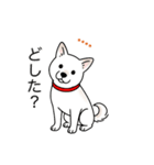 名前入り白しば（個別スタンプ：9）