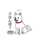 名前入り白しば（個別スタンプ：10）