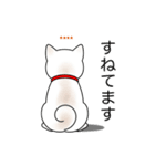 名前入り白しば（個別スタンプ：11）