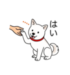 名前入り白しば（個別スタンプ：12）
