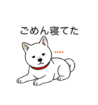 名前入り白しば（個別スタンプ：15）