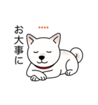 名前入り白しば（個別スタンプ：16）