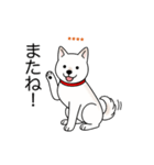 名前入り白しば（個別スタンプ：17）