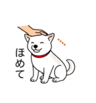 名前入り白しば（個別スタンプ：18）