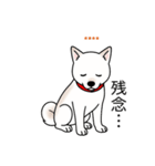 名前入り白しば（個別スタンプ：19）