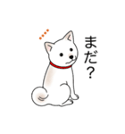 名前入り白しば（個別スタンプ：20）