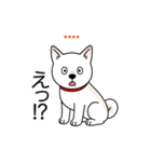名前入り白しば（個別スタンプ：21）