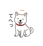 名前入り白しば（個別スタンプ：22）