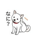 名前入り白しば（個別スタンプ：23）