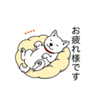 名前入り白しば（個別スタンプ：24）