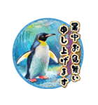 【飛び出す】夏の敬語♡暑中見舞い（個別スタンプ：11）
