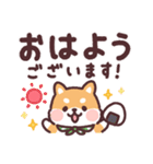 ころころ柴犬 毎日デカ文字（個別スタンプ：1）