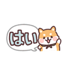 ころころ柴犬 毎日デカ文字（個別スタンプ：9）