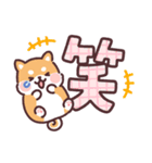 ころころ柴犬 毎日デカ文字（個別スタンプ：12）