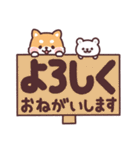 ころころ柴犬 毎日デカ文字（個別スタンプ：13）
