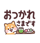 ころころ柴犬 毎日デカ文字（個別スタンプ：15）