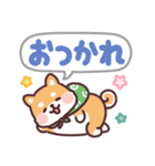 ころころ柴犬 毎日デカ文字（個別スタンプ：16）