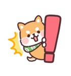 ころころ柴犬 毎日デカ文字（個別スタンプ：34）