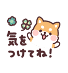 ころころ柴犬 毎日デカ文字（個別スタンプ：36）