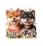 真夏の柴犬ブラザーズ︎︎☺︎（個別スタンプ：1）