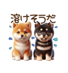 真夏の柴犬ブラザーズ︎︎☺︎（個別スタンプ：6）