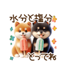 真夏の柴犬ブラザーズ︎︎☺︎（個別スタンプ：8）