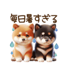 真夏の柴犬ブラザーズ︎︎☺︎（個別スタンプ：9）