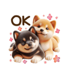 真夏の柴犬ブラザーズ︎︎☺︎（個別スタンプ：13）