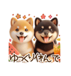 真夏の柴犬ブラザーズ︎︎☺︎（個別スタンプ：15）