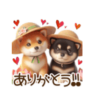 真夏の柴犬ブラザーズ︎︎☺︎（個別スタンプ：18）