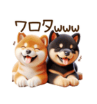 真夏の柴犬ブラザーズ︎︎☺︎（個別スタンプ：19）