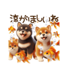 真夏の柴犬ブラザーズ︎︎☺︎（個別スタンプ：21）