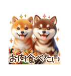 真夏の柴犬ブラザーズ︎︎☺︎（個別スタンプ：23）