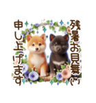 真夏の柴犬ブラザーズ︎︎☺︎（個別スタンプ：25）
