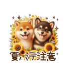 真夏の柴犬ブラザーズ︎︎☺︎（個別スタンプ：31）